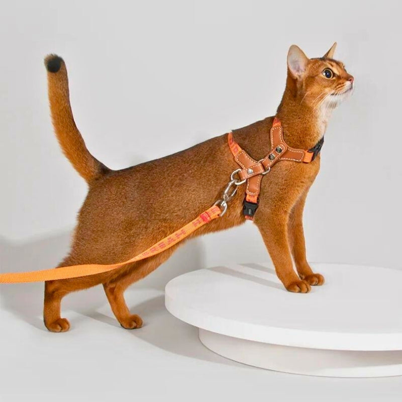 Cat Harness with adjustable H-Style & Premium Leash set | Easy walk