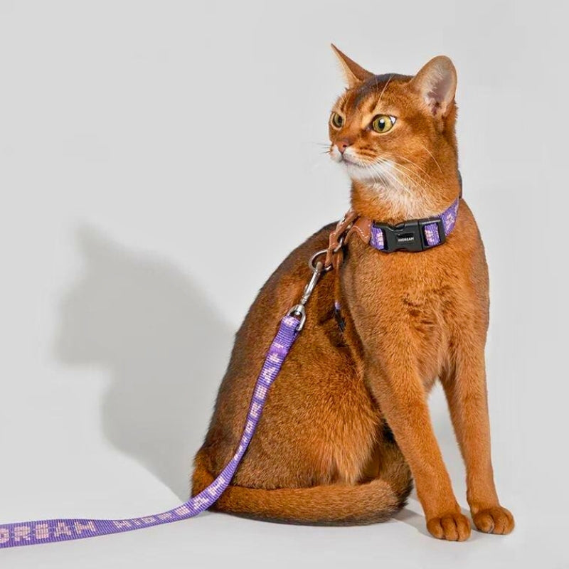 Cat Harness with adjustable H-Style & Premium Leash set | Easy walk