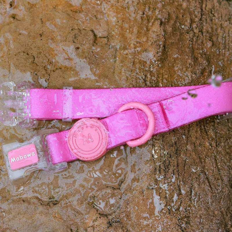 All-Weather Dog Collar. Waterproof & Quick-Release for Active Dogs