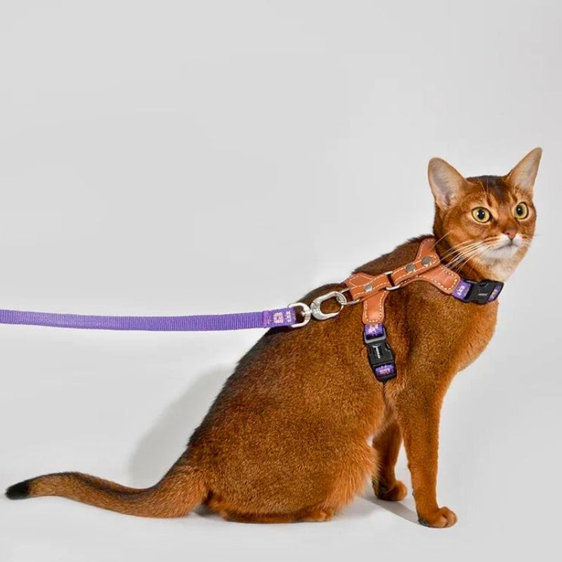 Cat Harness with adjustable H-Style & Premium Leash set | Easy walk