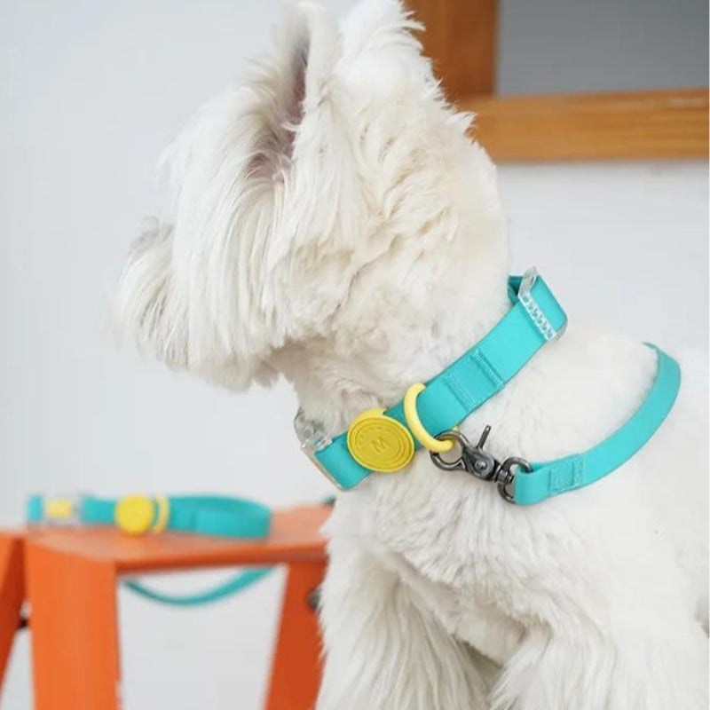 All-Weather Dog Collar. Waterproof & Quick-Release for Active Dogs