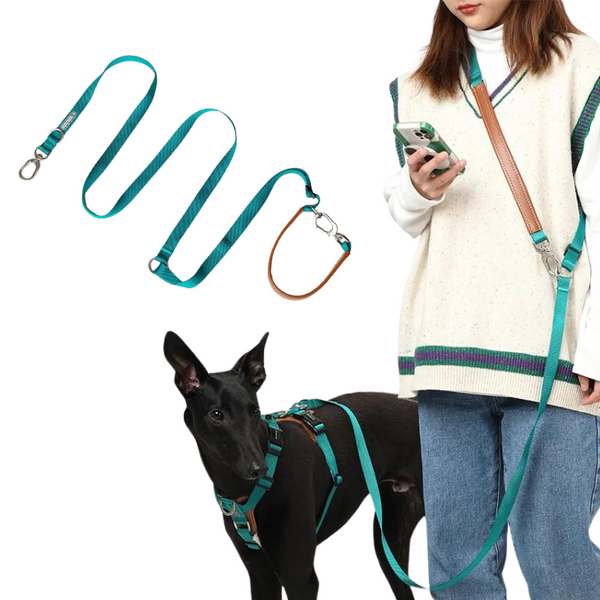 Hands-free & adjustable dog Leash, Versatile design