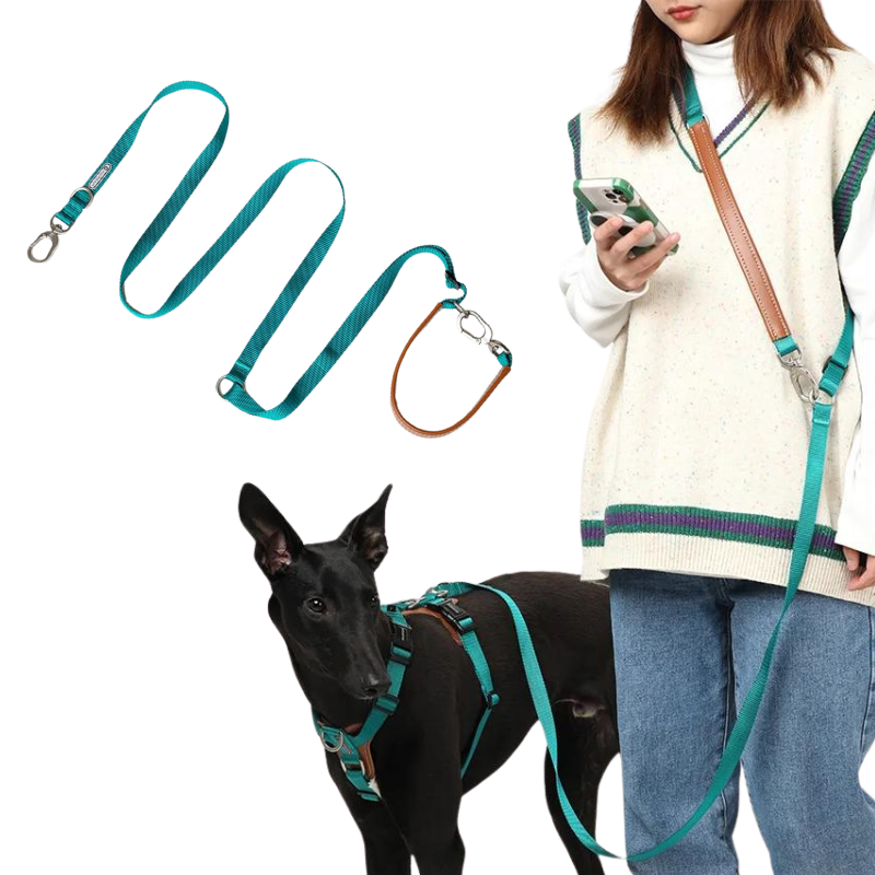 Hands-free & adjustable dog Leash, Versatile design