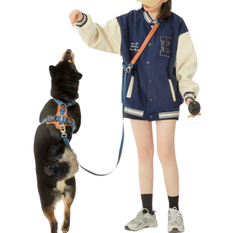 Hands-free & adjustable dog Leash, Versatile design