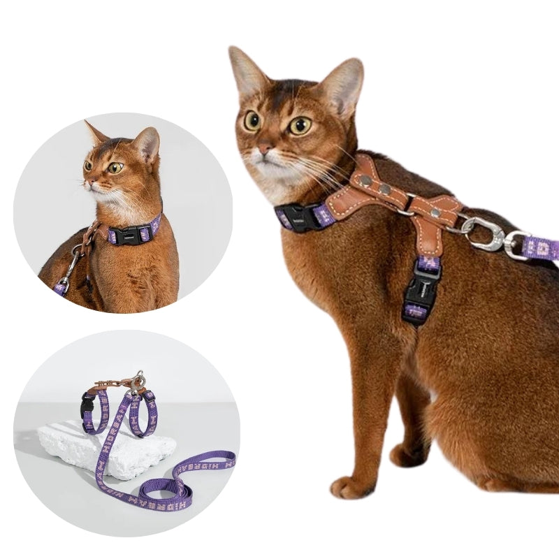 Cat Harness with adjustable H-Style & Premium Leash set | Easy walk