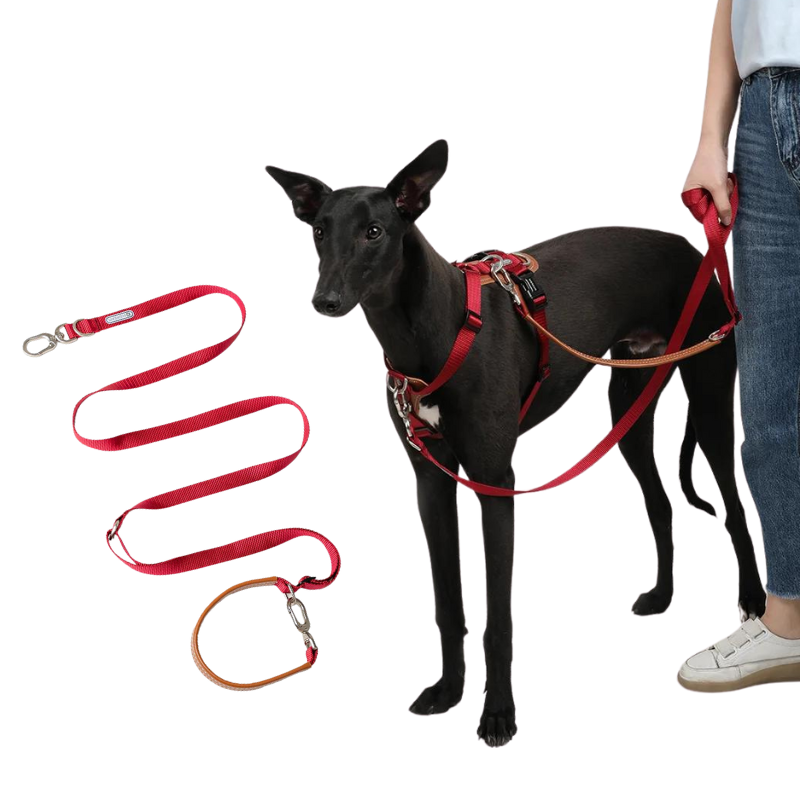 Hands-free & adjustable dog Leash, Versatile design