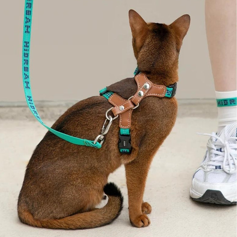 Cat Harness with adjustable H-Style & Premium Leash set | Easy walk