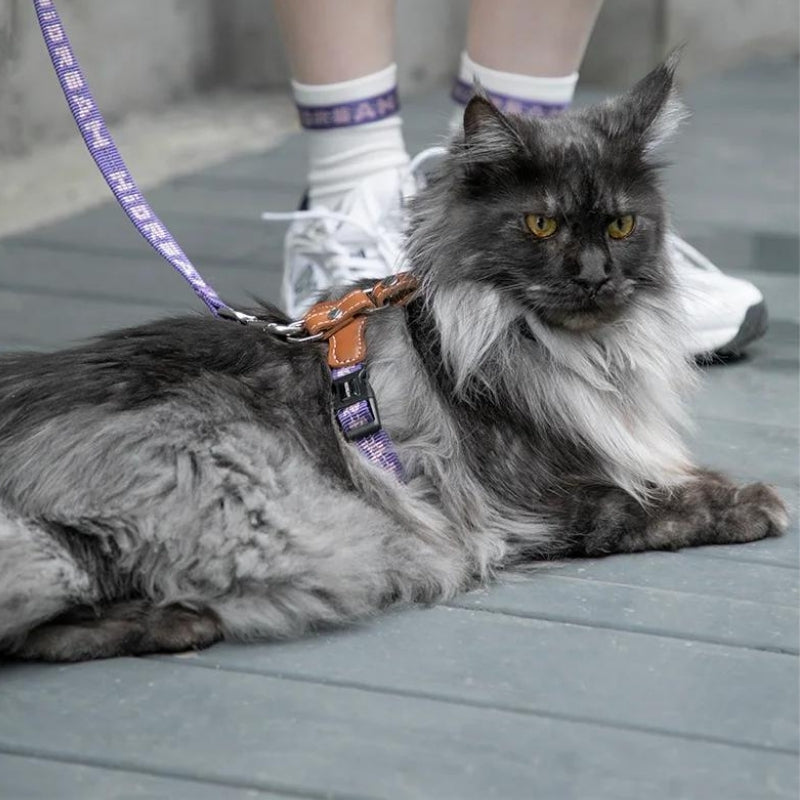 Cat Harness with adjustable H-Style & Premium Leash set | Easy walk