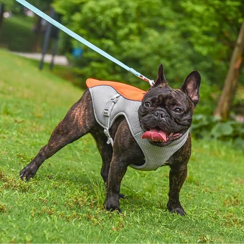 Water soak Dog Cooling Vest - Easy ON/OFF