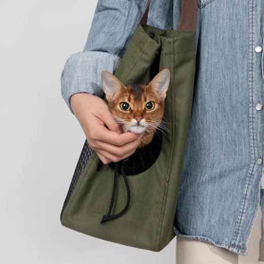 Cat Carrier Shoulder Bag