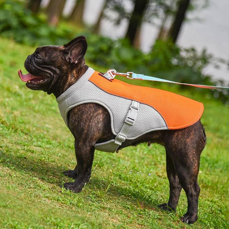 Water soak Dog Cooling Vest - Easy ON/OFF