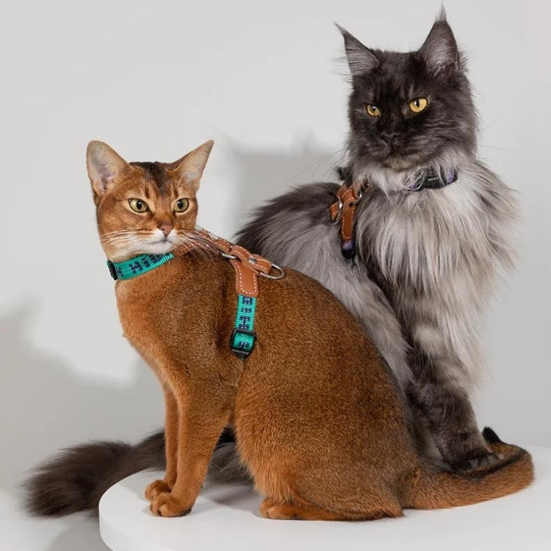 Cat Harness with adjustable H-Style & Premium Leash set | Easy walk