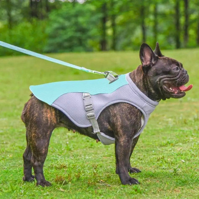 Water soak Dog Cooling Vest - Easy ON/OFF