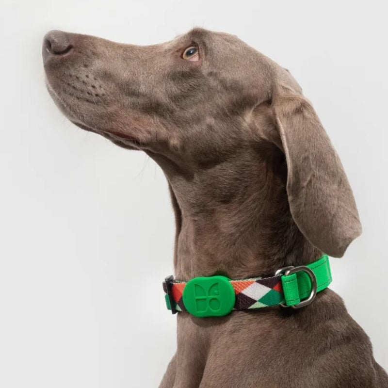 No-pull dog Collar with Limited-slip, Sparkle Style