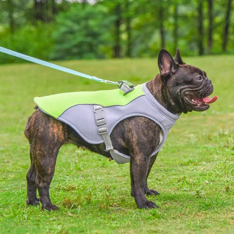 Water soak Dog Cooling Vest - Easy ON/OFF