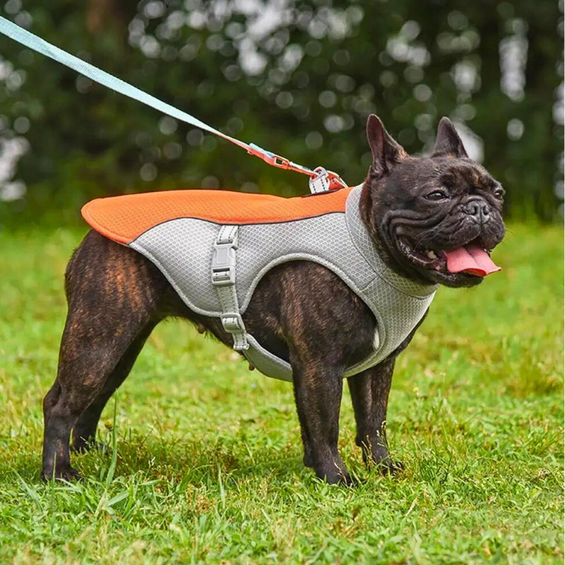 Water soak Dog Cooling Vest - Easy ON/OFF