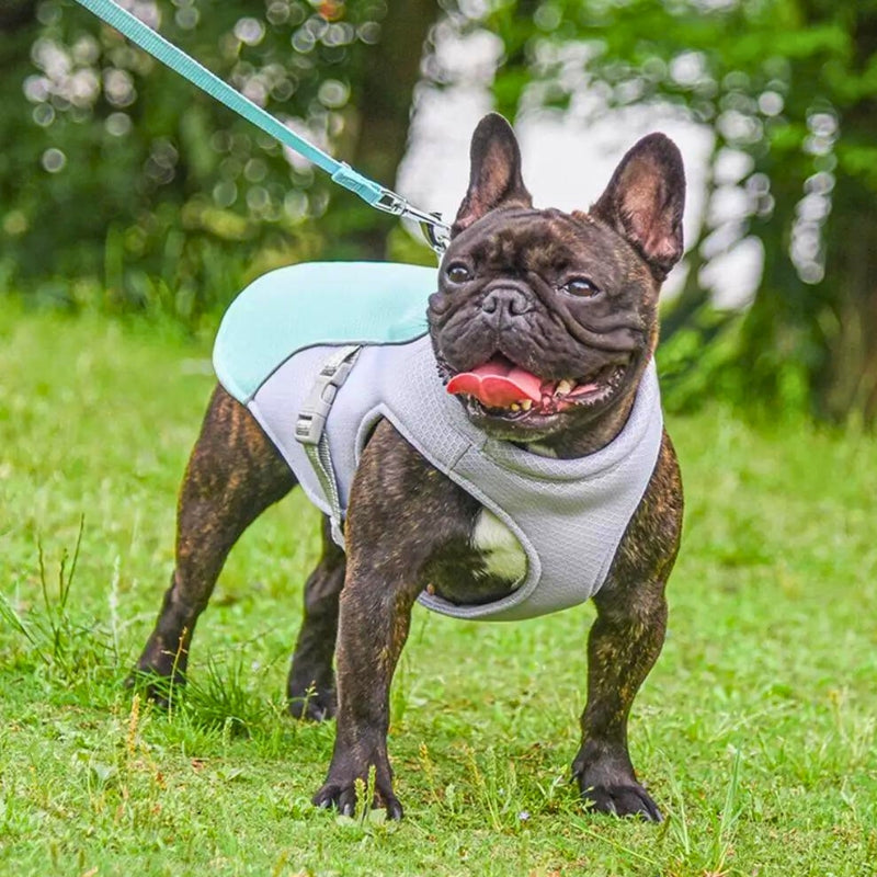 Water soak Dog Cooling Vest - Easy ON/OFF