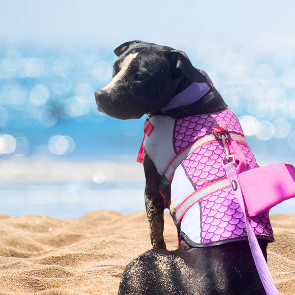 Dog life jacket, lifeguard vest for Pet Shark