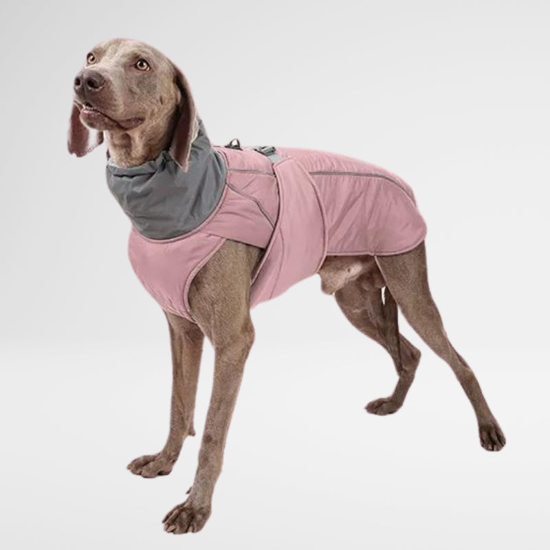 Waterproof Dog Raincoat - Winter Explorer