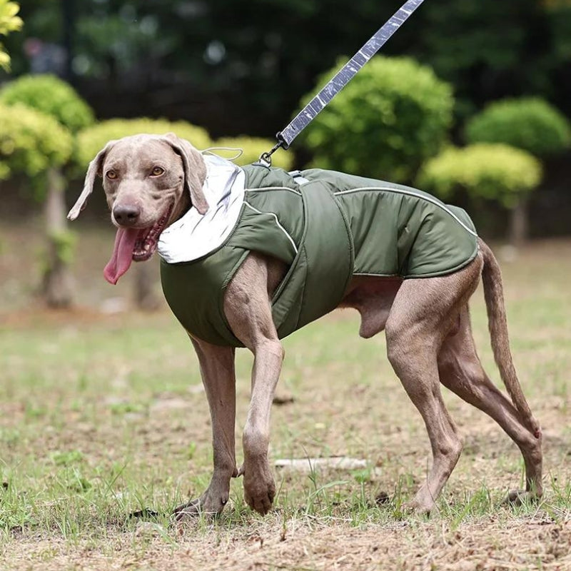 Waterproof Dog Raincoat - Winter Explorer