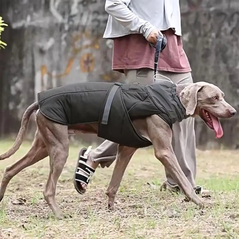 Waterproof Dog Raincoat - Winter Explorer