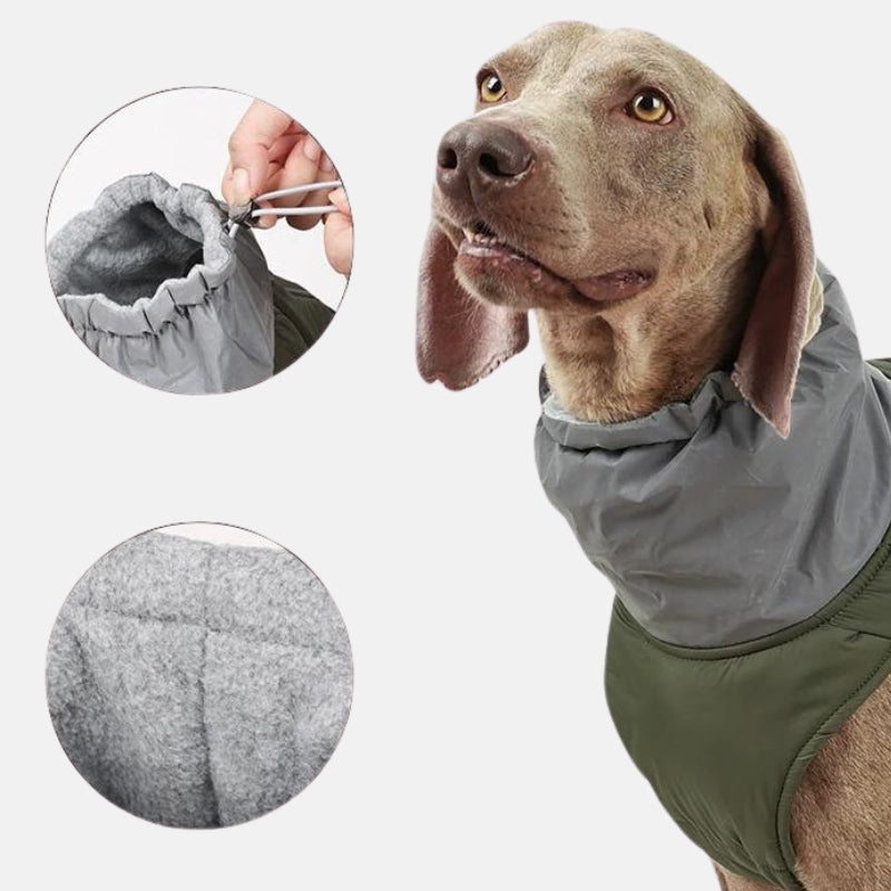 Waterproof Dog Raincoat - Winter Explorer