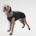 Waterproof Dog Raincoat - Winter Explorer