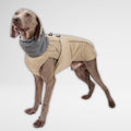 Waterproof Dog Raincoat - Winter Explorer