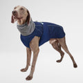 Waterproof Dog Raincoat - Winter Explorer