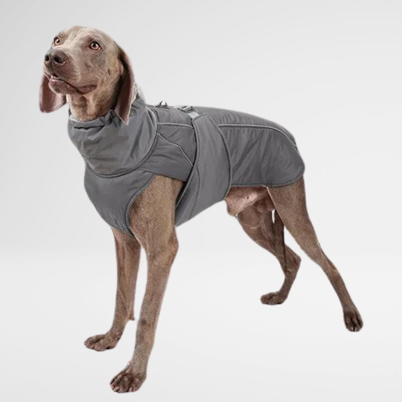 Waterproof Dog Raincoat - Winter Explorer