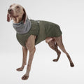 Waterproof Dog Raincoat - Winter Explorer