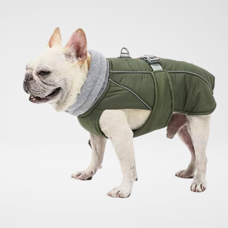 Waterproof Dog Raincoat - Winter Explorer