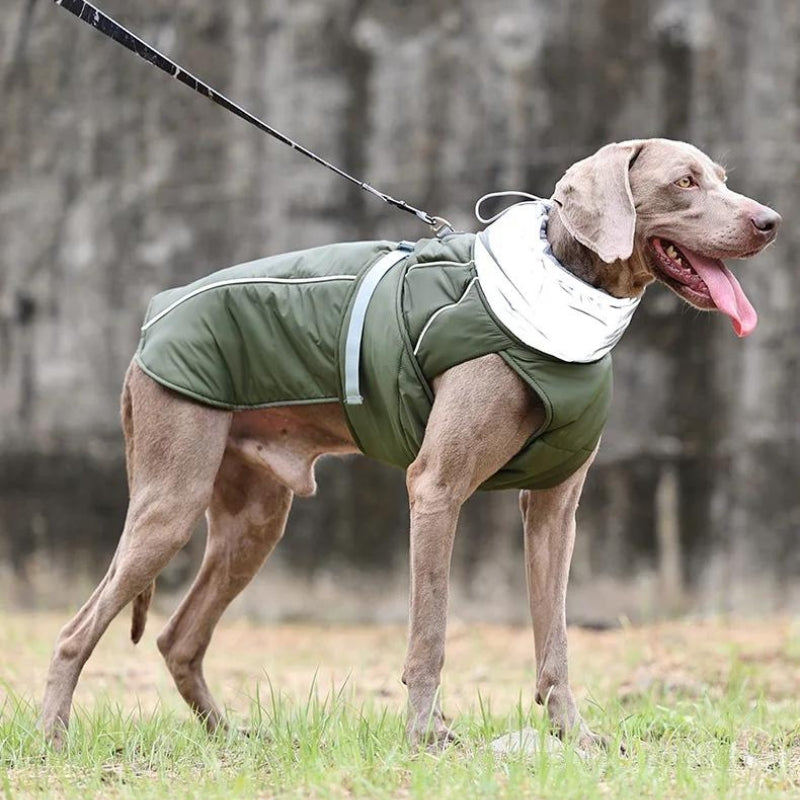 Waterproof Dog Raincoat - Winter Explorer