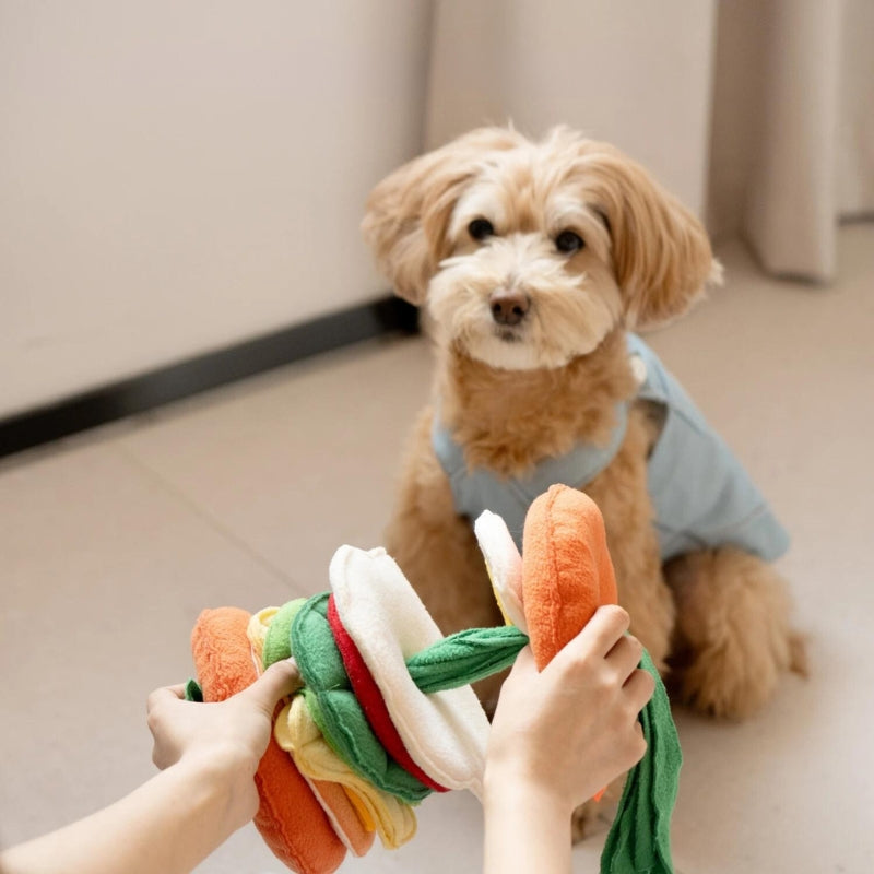 Dog Puzzle Feeder Toy - Puzzlingly Delicious Fun