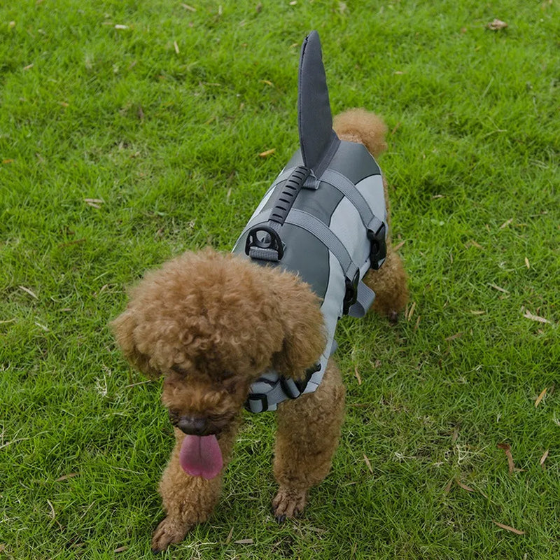 Dog Life Jacket, Sweet Mermaid or Dog Shark