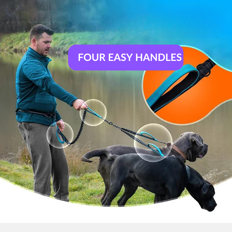 Double Dog Leash - Hands Free & Tangle Free