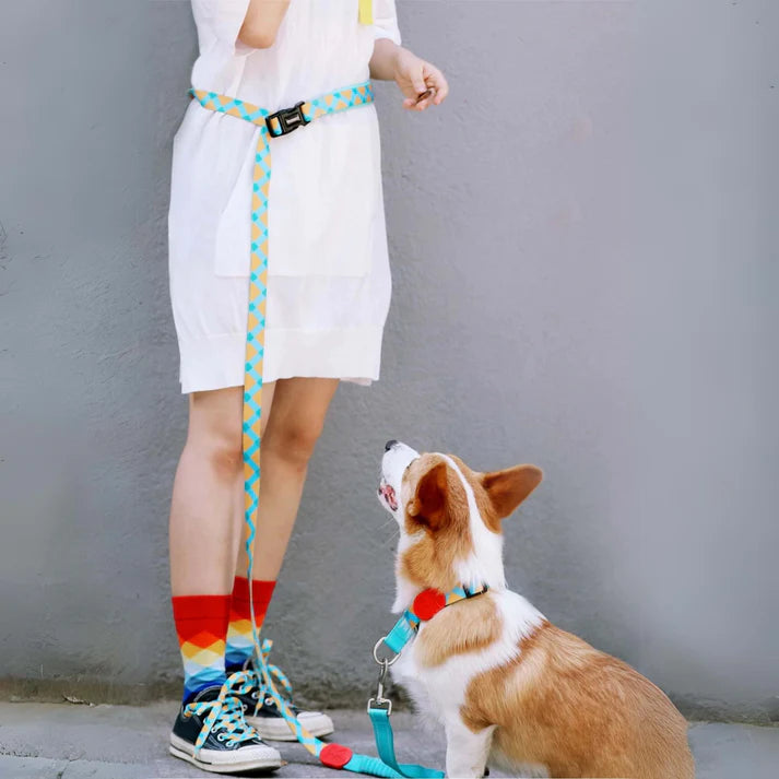 Hands-free Dog Leash with Shock-Absorbing Bungee