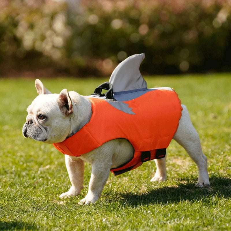 Reflective Dog Life Jacket, Stay Safe & Cool