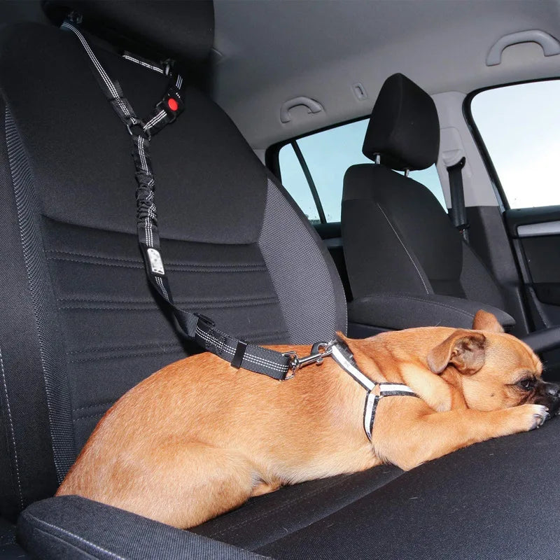 Dog Car Belt with 3-in-1 Design with Built-in Leash