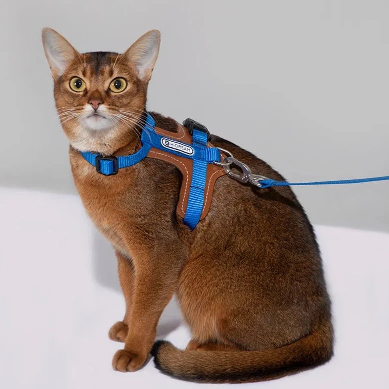 Cat Harness with premium leather pad & adjustable Leash, Style & Comfort