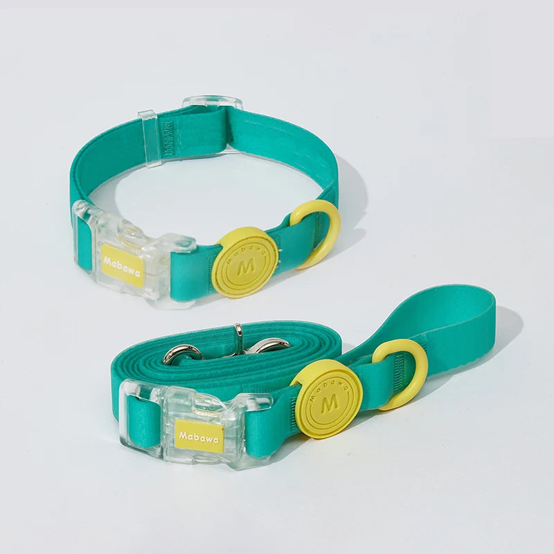 Active dog fashion collar