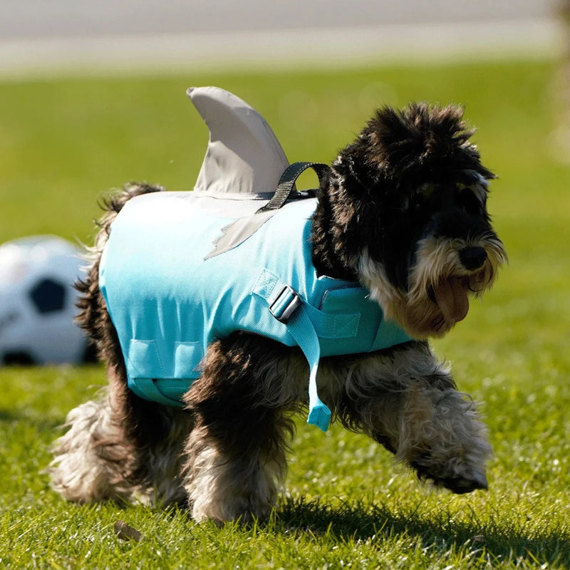 Reflective Dog Life Jacket, Stay Safe & Cool