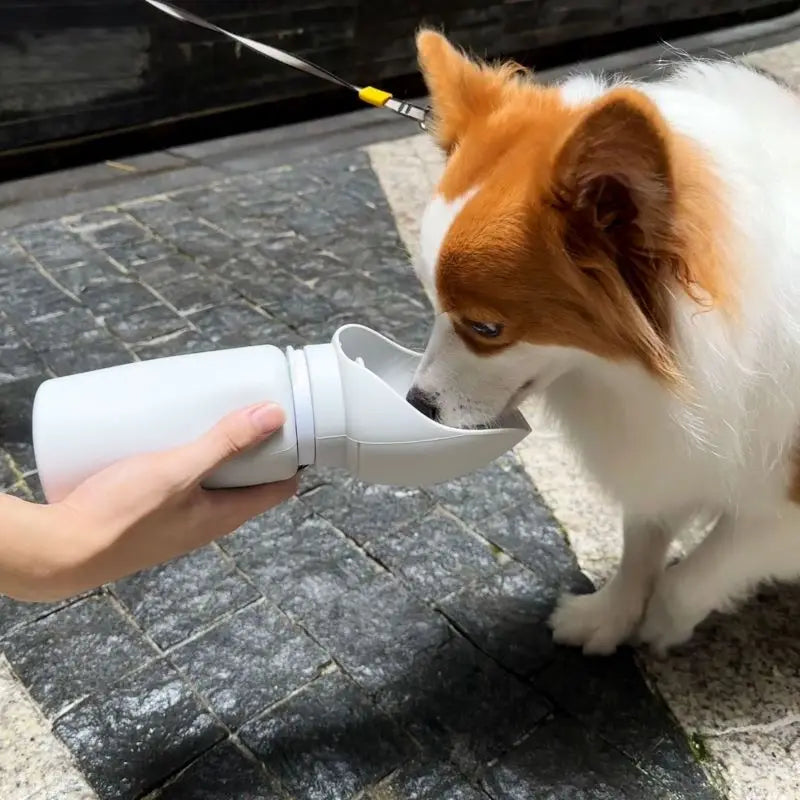 Foldable dog water bottle |Outdoor essential gear