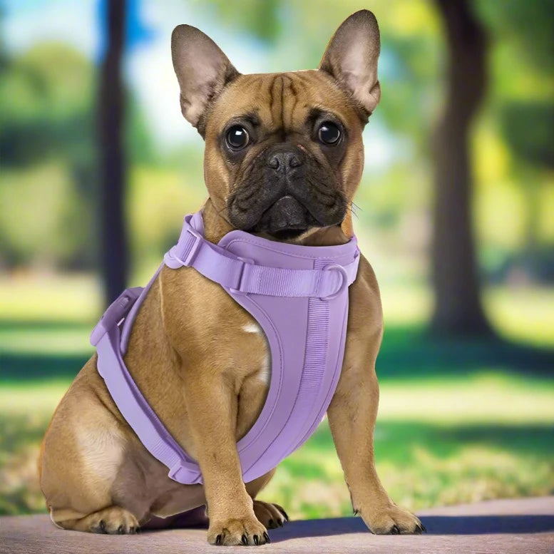 Ultra-Soft Dog Harness - No pull Control  D-Ring