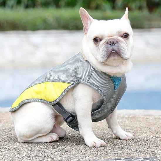 Dog Cooling Vest with Sun Protection - Stay Safe & Comfortable in the Heat