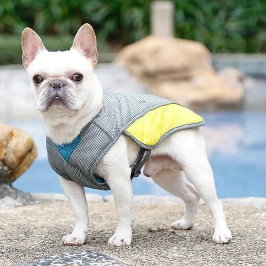 Dog Cooling Vest with Sun Protection - Stay Safe & Comfortable in the Heat