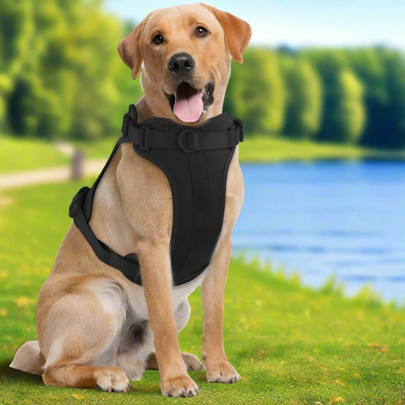 Ultra-Soft Dog Harness - No pull Control  D-Ring