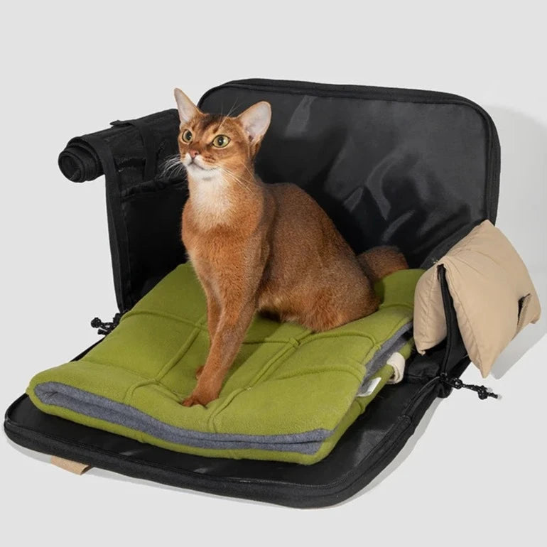 Pet Travel Carrier Bag