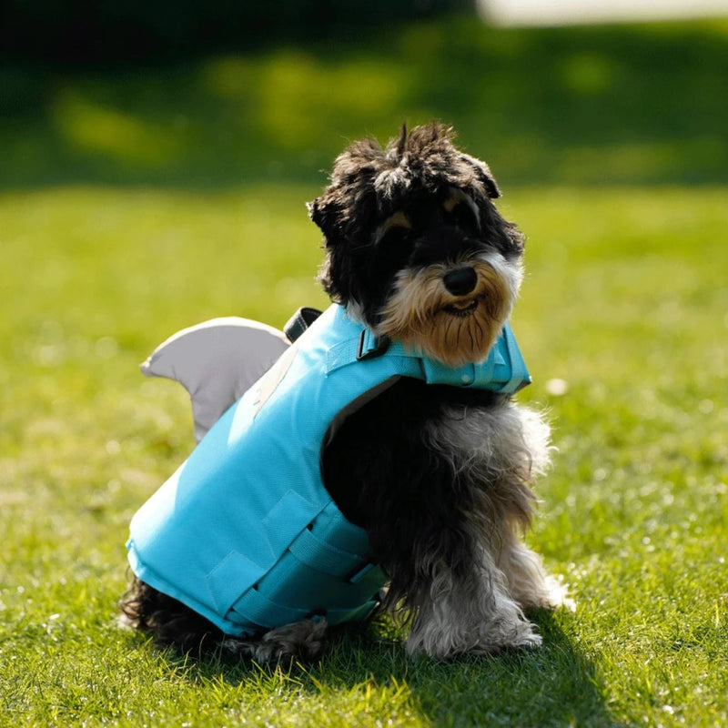 Reflective Dog Life Jacket, Stay Safe & Cool