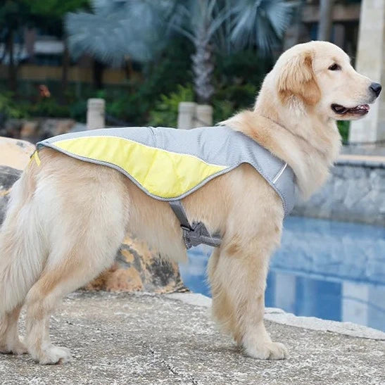 Dog Cooling Vest with Sun Protection - Stay Safe & Comfortable in the Heat